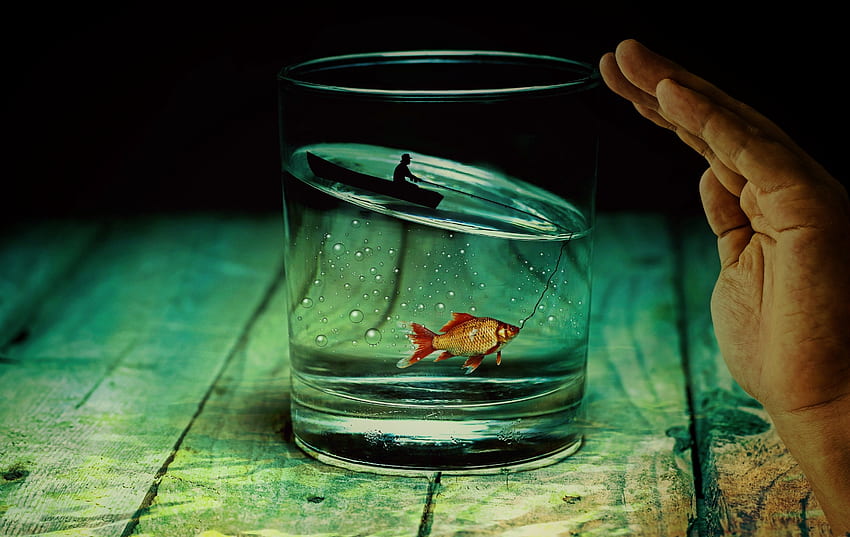 Kunst, Glas, Hopfen, Fisch, Fischer HD-Hintergrundbild