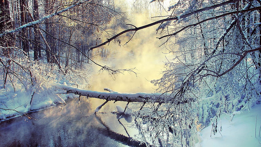 winter, lake, tree, snow, steam, morning ultrawide monitor background HD wallpaper