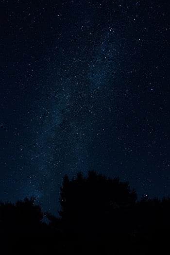 Nature, Trees, Night, Starry Sky, Night Landscape, Nightscape Hd 