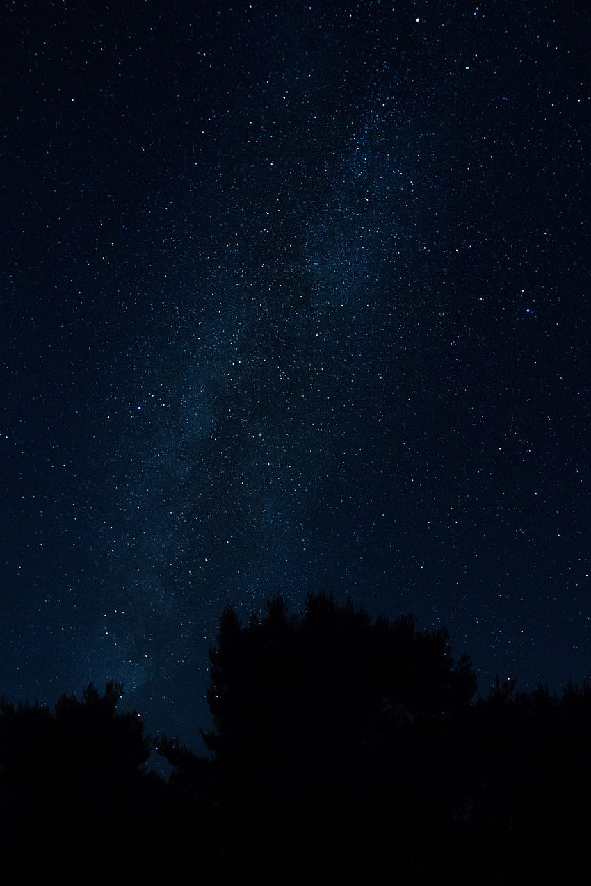 Drzewa, gwiazdy, noc, ciemność, gwiaździste niebo, nocny kraj, nocny kraj Tapeta na telefon HD