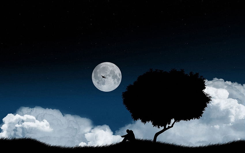 Himmel, Nacht, Vektor, Dunkel, Holz, Baum, Einsamkeit, Lichtung, Polyana HD-Hintergrundbild