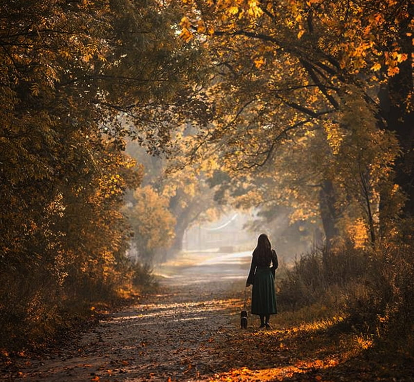 caminhada de outono, grafia, outono, florestas, natureza, pessoas papel de parede HD