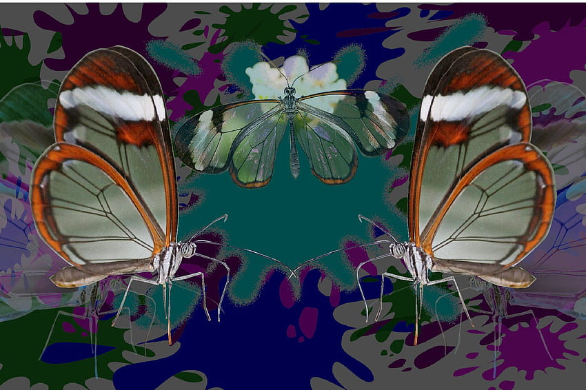 artistic Psychedelic with tags: Laptop, Butterfly HD wallpaper