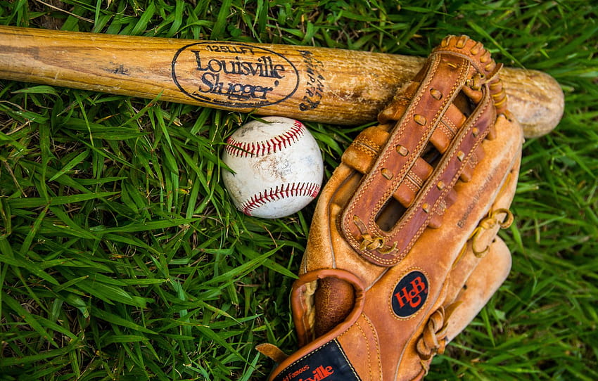 Grass, The ball, Sport, Gloves, Baseball bat for , section спорт HD wallpaper