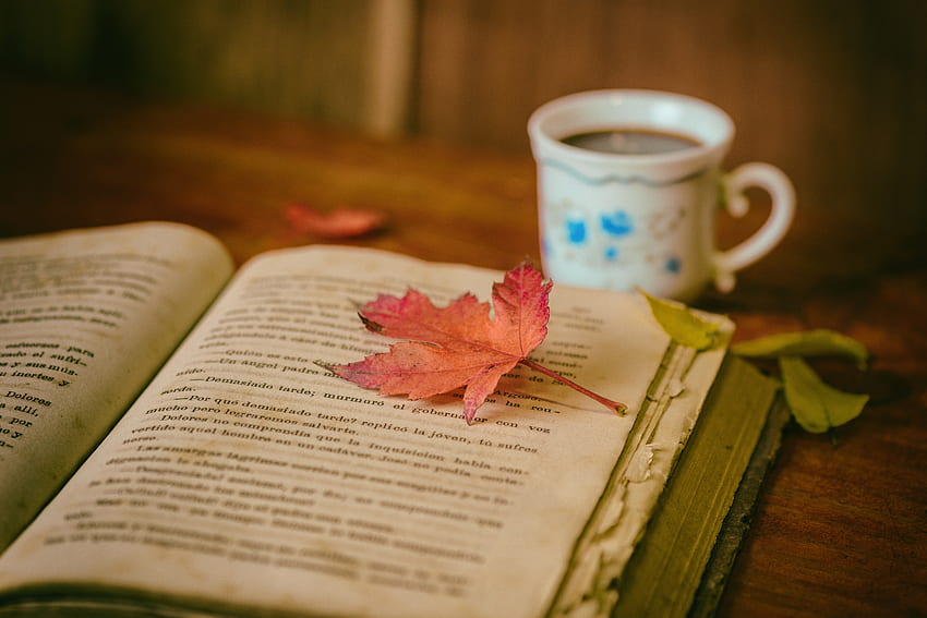 Есен, листа, кафе, разни, разни, чаша, книга, уют, комфорт, четене HD тапет