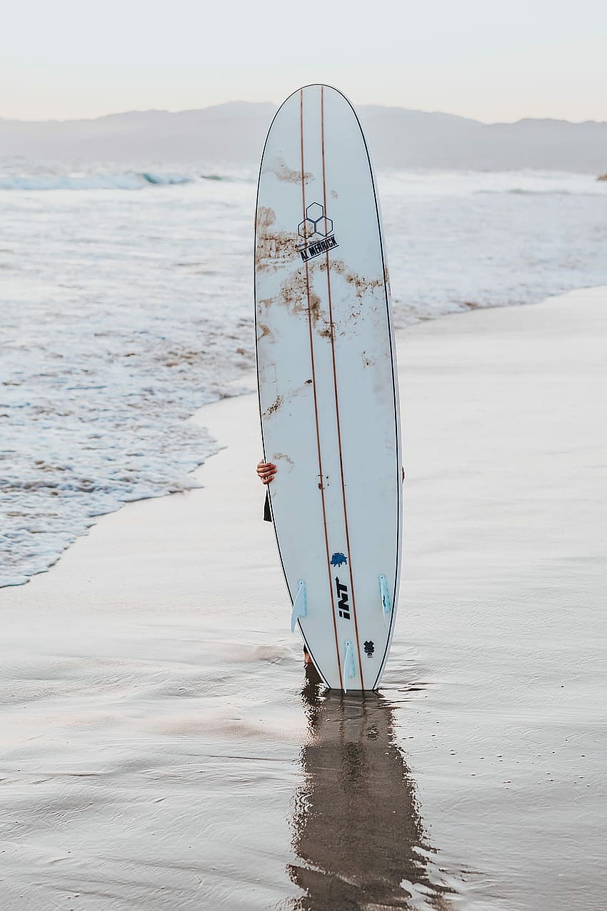 : tabla de surf blanca en posición vertical en la orilla del mar durante el día, tablas de surf coloridas fondo de pantalla del teléfono