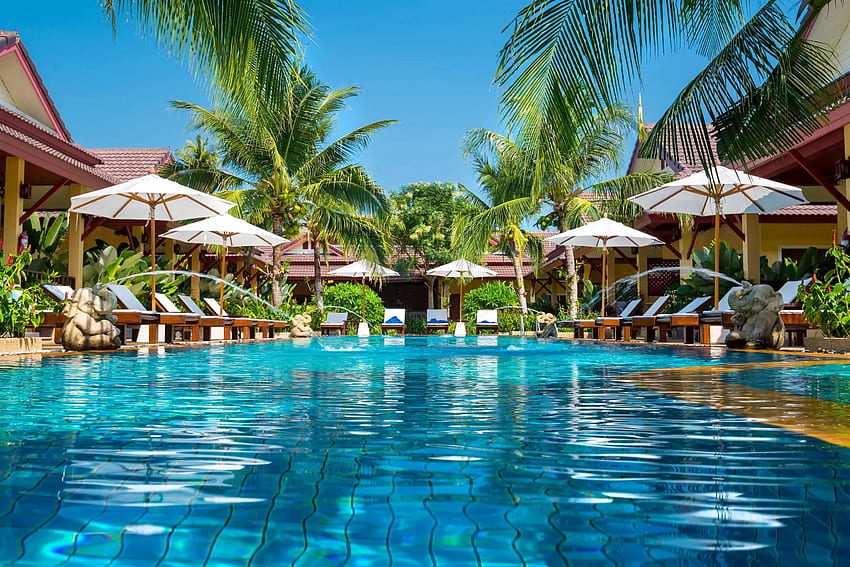 Tropik tatil köyünde havuz, avuç içi, şemsiye, Phuket, Tayland, tropikler, egzotik, kristal, sakin ol, tatil, yaz, yüzmek, dinlenme, havuz, keyfini çıkar HD duvar kağıdı