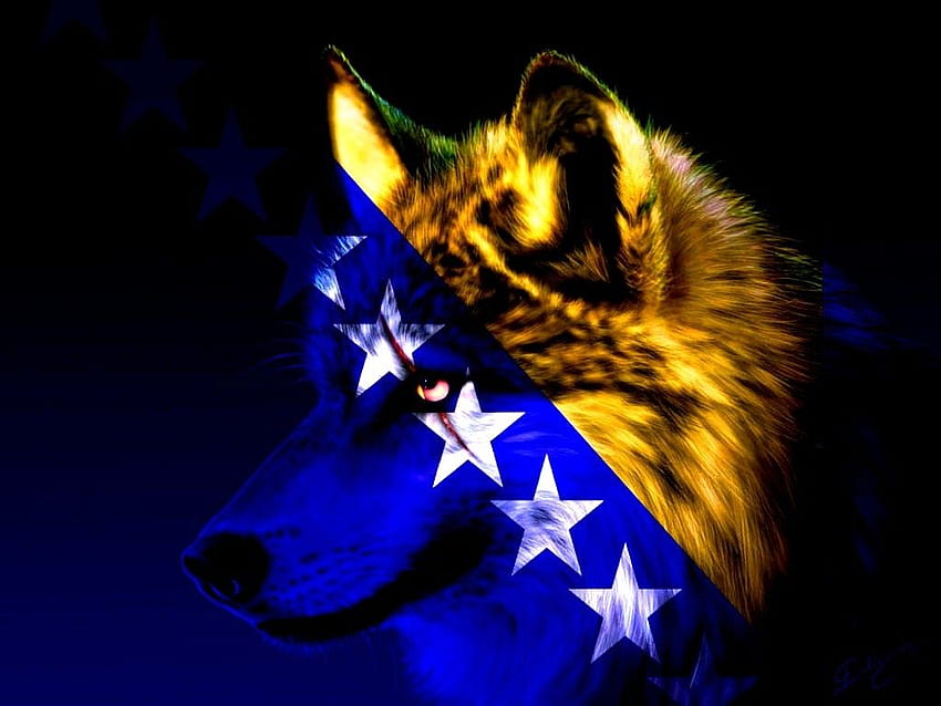 Etiquetado con Bosnio: Estrella amarilla y azul Bosnia Lobo Bosnio fondo de pantalla