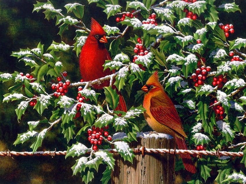 Christmas Friends, berries, birds, christmas, tree HD wallpaper