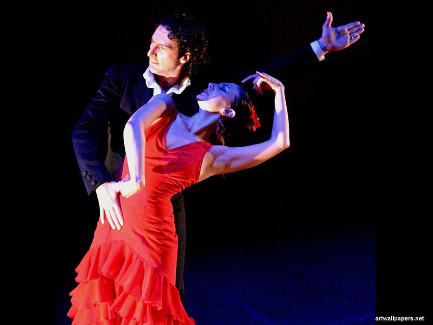 Flamenco dancer | Flamenco dancers, Flamenco dress, Spanish dancer