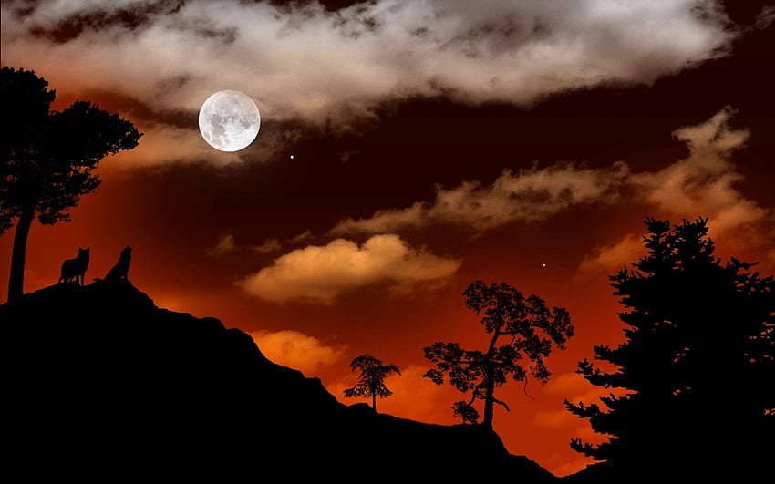 THE HOWLING NIGHT, full moon, howling, wolves, pair, trees, sky, mountain HD wallpaper