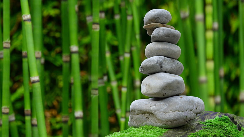 Graue Steine ​​auf einem Hintergrund aus grünem Bambus und - HD-Hintergrundbild