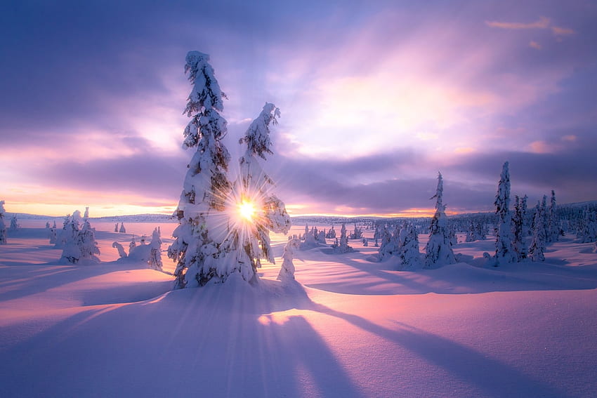 冬の日の出の風景, 冬, 日の出, 雪, 木, 自然, 風景, 日光 高画質の壁紙
