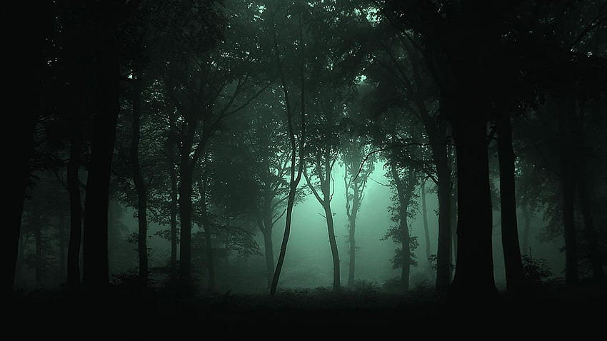 Scary Fog - 3D & Abstract . Wald tapete, Nebliger wald, Dunklen wald, Dark Foggy Night HD wallpaper