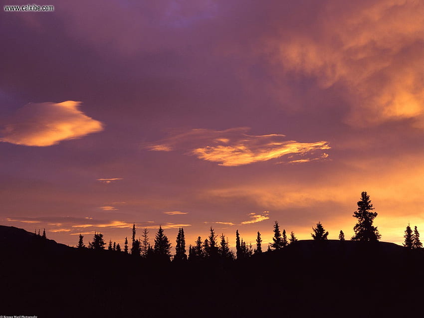 desktop wallpaper nature sunrise boreal forest central alaska nr 17781