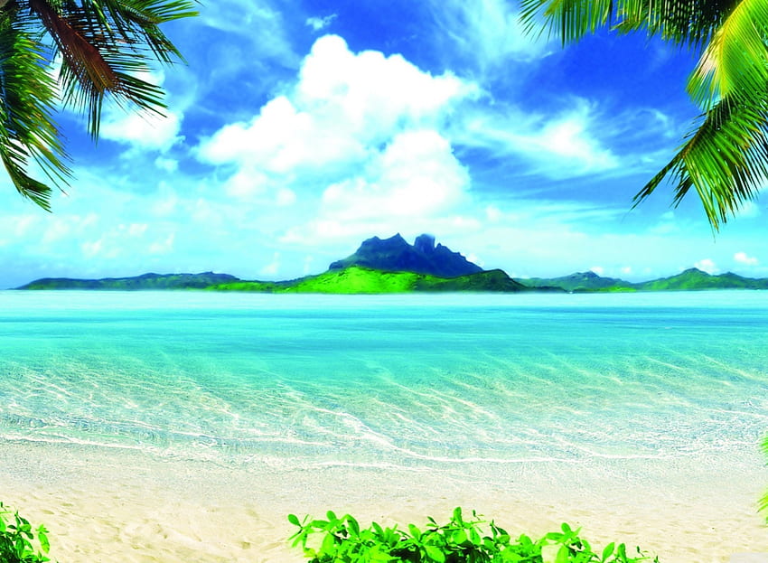 Cute Summer, Tropical, Vacation, Ocean, Palm trees, Beach HD wallpaper