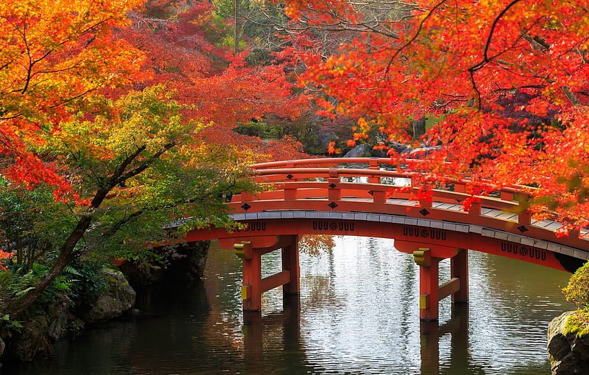 autumn, trees, bridge, pond, Park, stones, Japan, Kyoto for , section природа HD wallpaper
