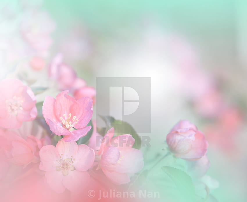 Spring nature blossom web banner or header.Abstract macro .Artistic Background.Fantasy lorful . - License, or print for £25.00. , Painting Abstract Spring HD wallpaper