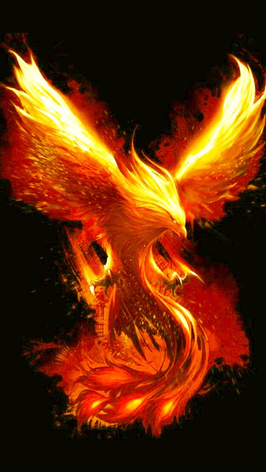 Eylem Ossam on phoenix bird. Phoenix bird art, Phoenix artwork, Phoenix , Mythical Phoenix HD phone wallpaper