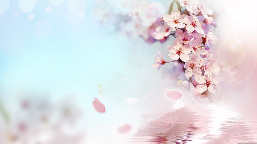 Sắc hồng tươi tắn của hoa đào là biểu tượng của sự trẻ trung và sự nở rộ của mùa xuân. Hãy chào mừng mùa xuân đến với những hình ảnh tuyệt đẹp về những cánh hoa đào rực rỡ sắc hồng.