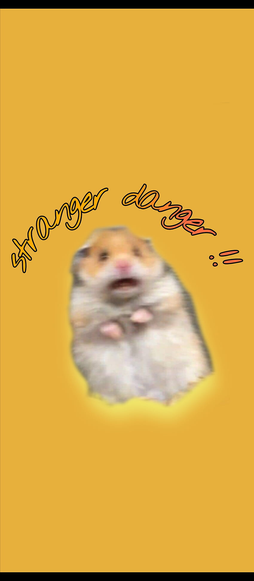 Hamster-Meme, lustig HD-Handy-Hintergrundbild