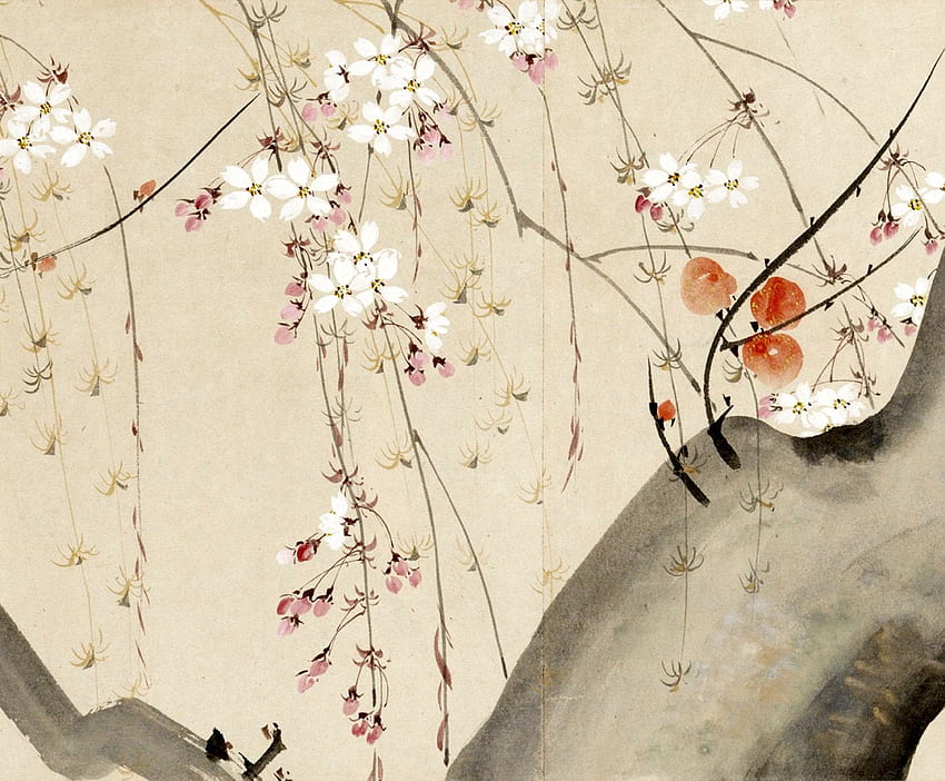 Японско изкуство Цветя и растения Сакура Черешов цвят, Японско изящно изкуство HD тапет