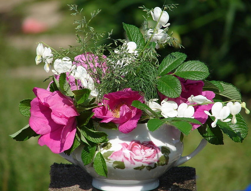 Copa com flores de verão, luz do sol, branco, rosas, jardim, floral, cores, xícara, beleza, ao ar livre, verão, natureza morta, rosa, verde, frescor, flores papel de parede HD