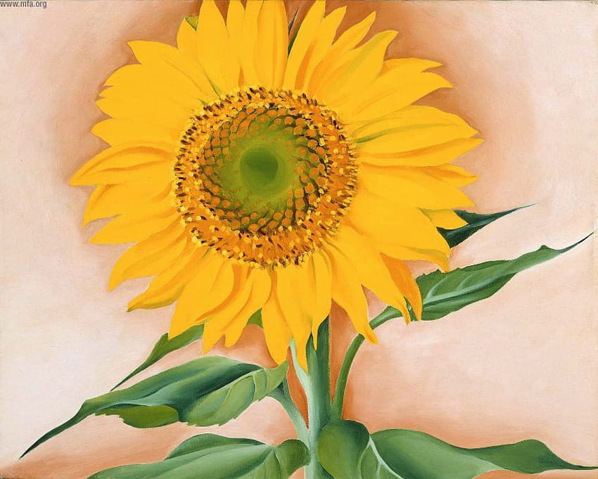 SunFlower Splendor, sunshine, warmth, light, sparkle, sun, sunflower, forever HD wallpaper