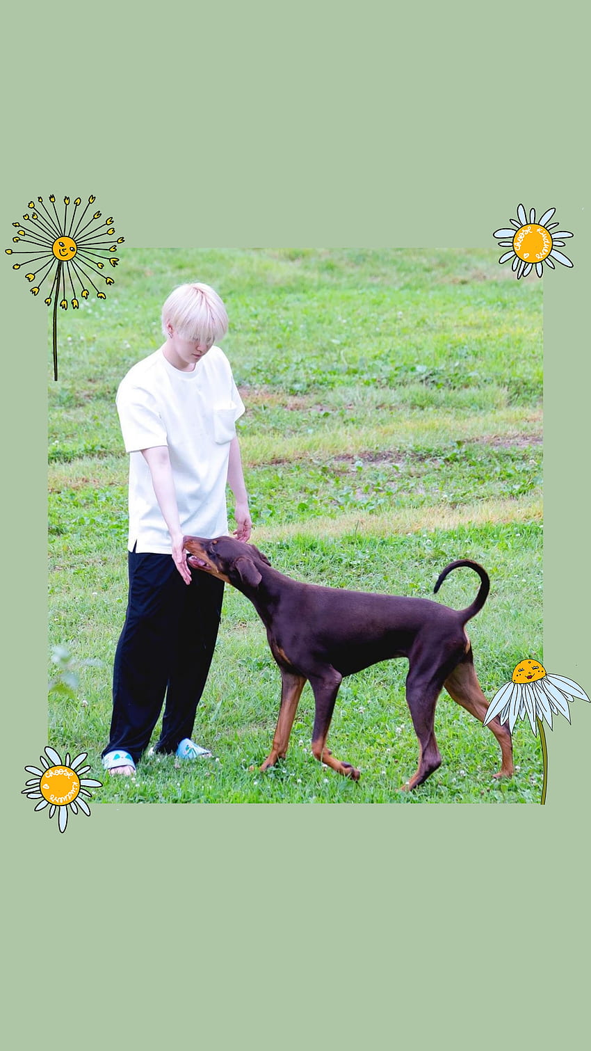 Yoongi, army, bts, companion dog, suga, Bam, flower HD phone wallpaper