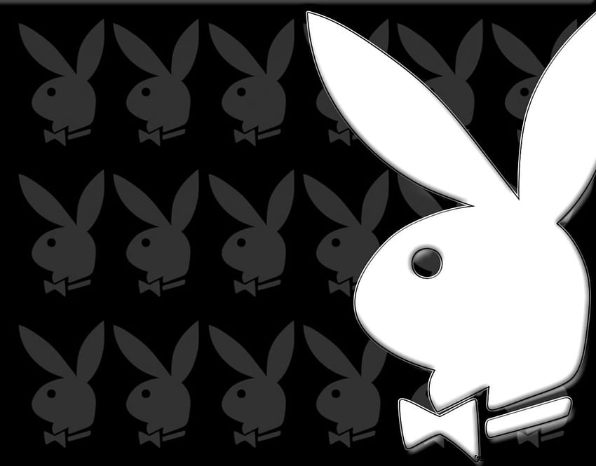 Logo lapin Playboy Fond d'écran HD