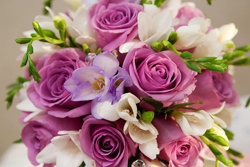 *** Delcate bouquet ***, rose, purple, delicate, roses, natura, flowers HD wallpaper