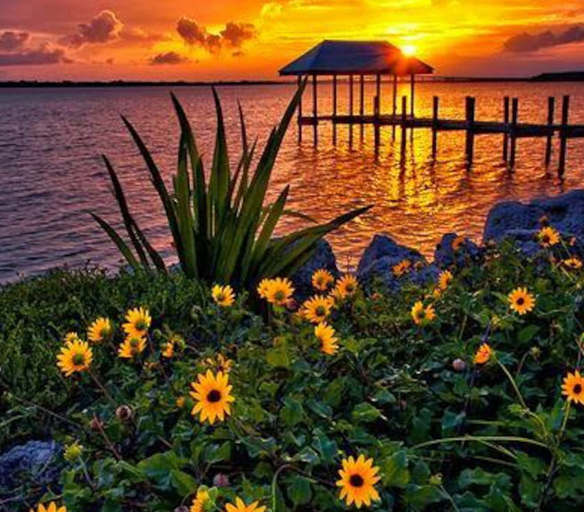 Sunset over Hutchinson Island, island, house, landscape, clouds, garden, nature, flowers, sunset HD wallpaper