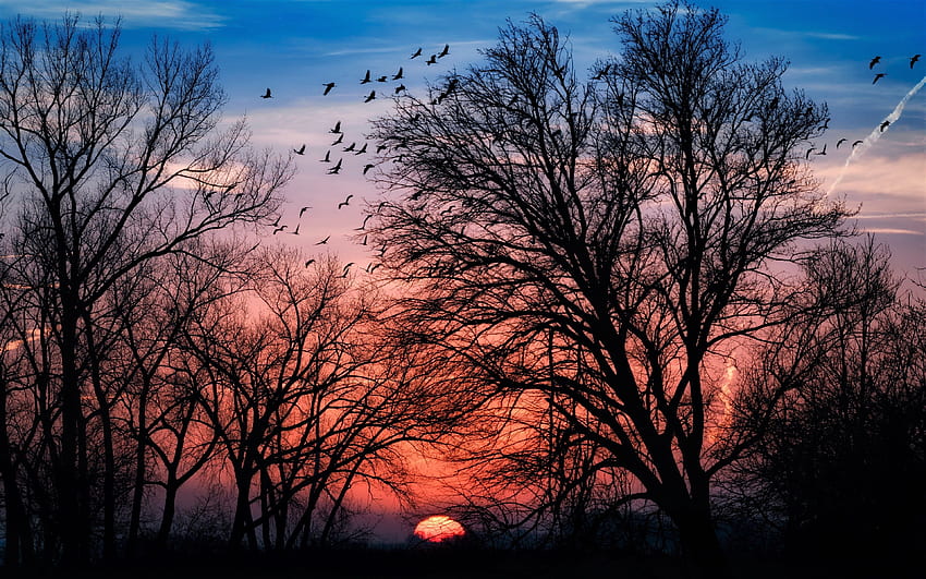 Sunset Background - Travel Tumblr, Sky Aesthetic Tumblr HD wallpaper