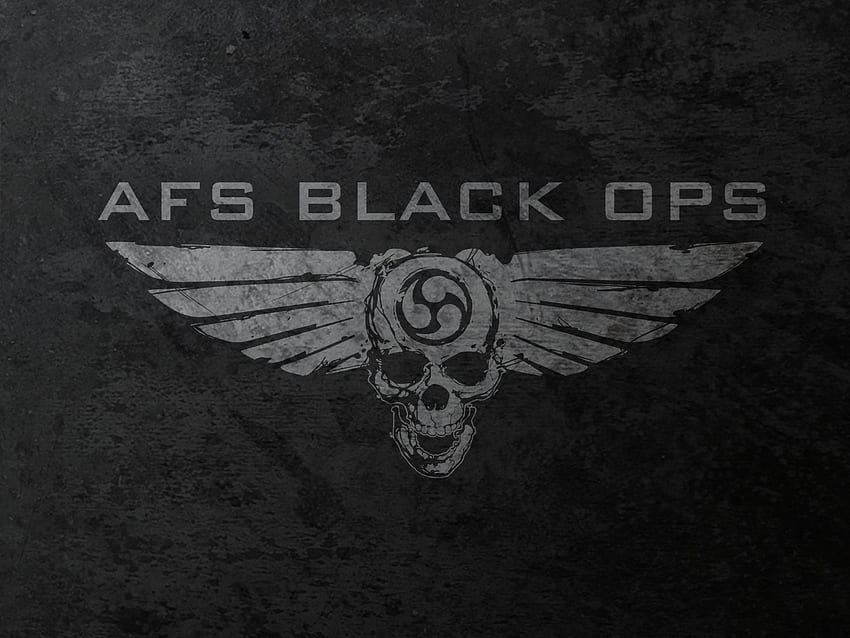 AFS Black Ops, czaszka, tabula rasa, afs, gracz Tapeta HD