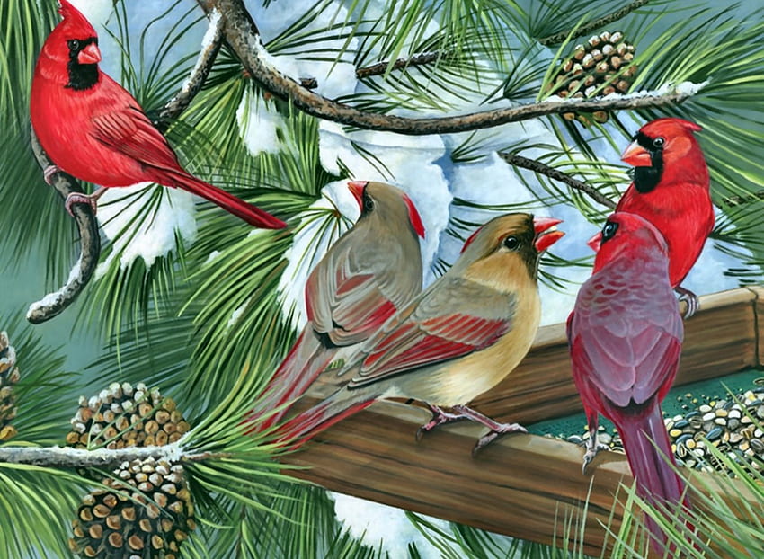 Cardinal Gathering F1, animal, pássaro, arte, bonita, aviária, obra de arte, Cardeal, tela larga, animais selvagens, pintura papel de parede HD