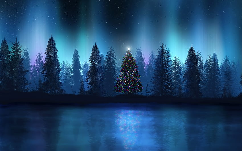 Holidays, New Year, Fir-Trees HD wallpaper