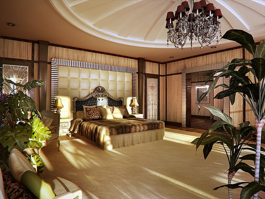 interior, arsitektur, cahaya, rumah, pohon Wallpaper HD