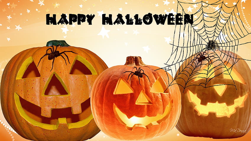 Jack-O-Lanterns and Spiders, spider webs, halloween, pumpkin, spider ...