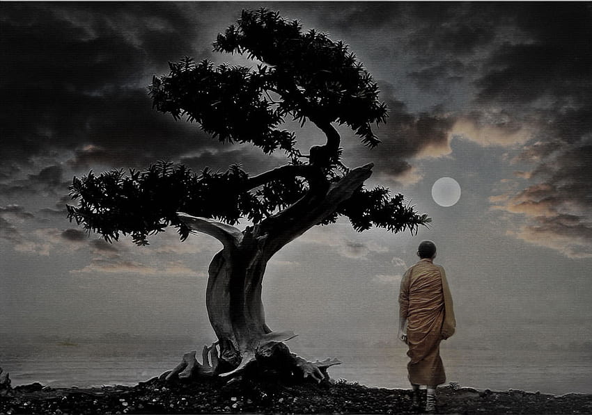 Niesamowite historie zen, które nauczą cię ważnych życiowych lekcji, buddyzm zen Tapeta HD