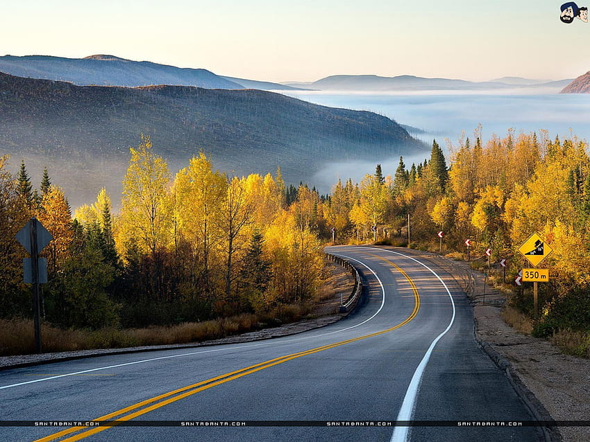 A mesmerizing view of a road heading towards a beautiful destination HD wallpaper