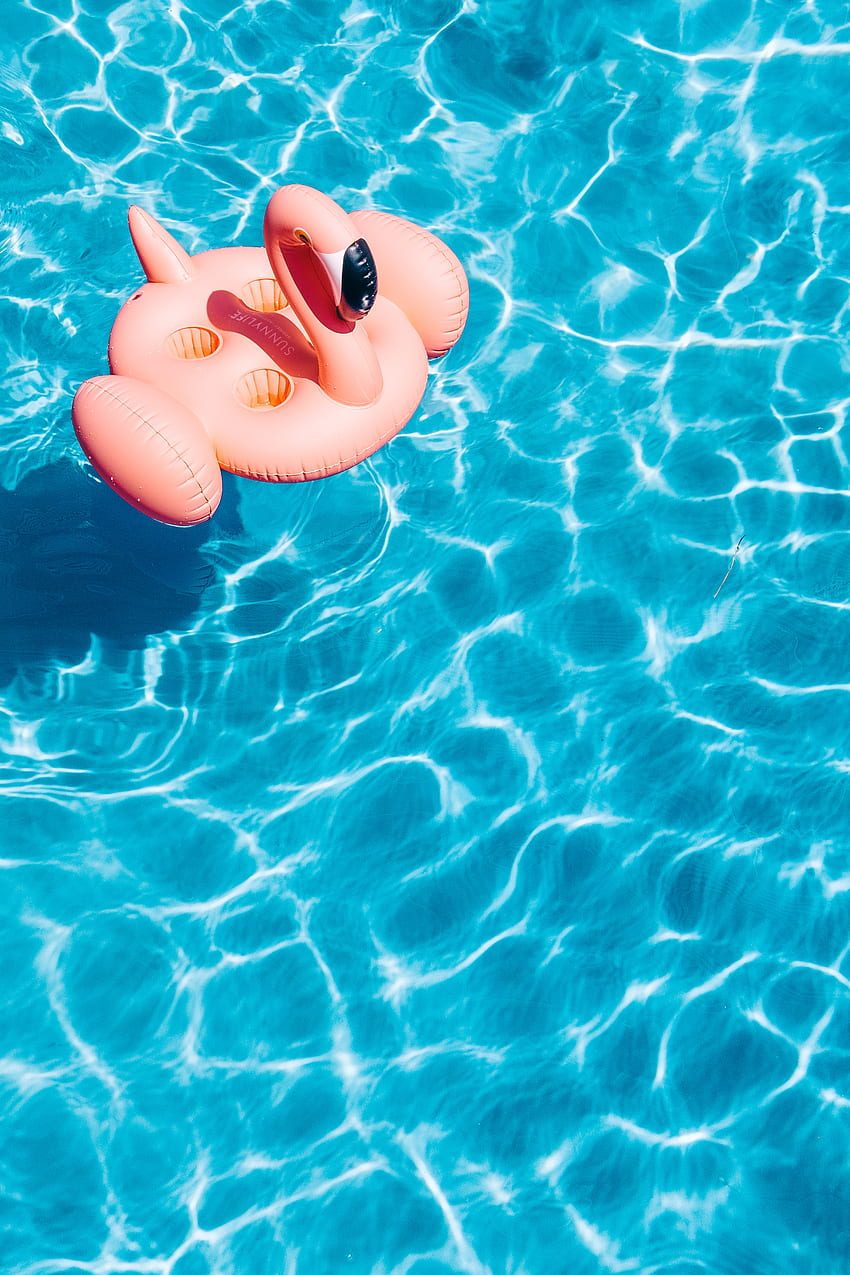 Water, Summer, Flamingo, Minimalism, Pool HD phone wallpaper