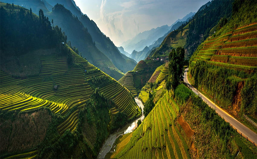 Зашеметяващи оризови тераси Североизточен Виетнам. Природата HD тапет