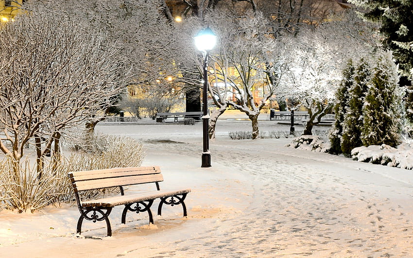 Winter: Bench Coldness Ice Town Frost City Park Way Lights Trees HD wallpaper