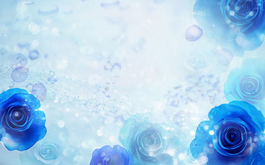 Thèmes Blue Roses pour Windows 7 - 77338. Flower background , Flowery , Blue background Fond d'écran HD