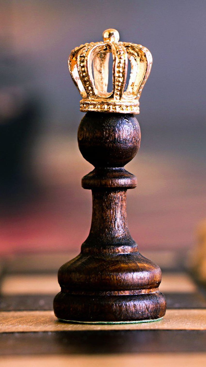 Queen Wazir Most Powerful Piece Game Stock Vector Royalty Free 1824737726   Shutterstock