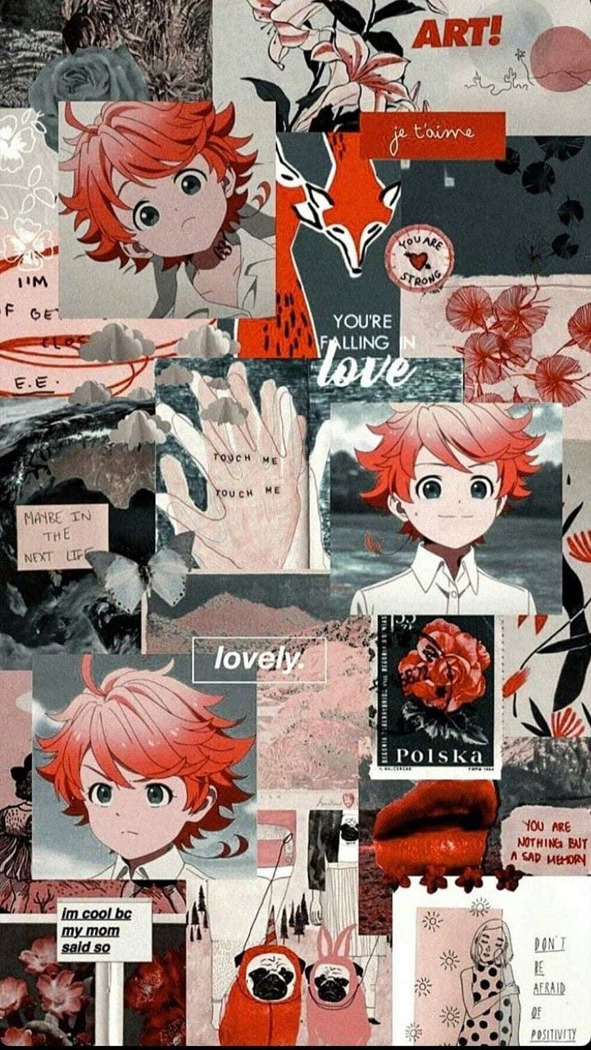 The promised neverland cute HD phone wallpaper  Pxfuel