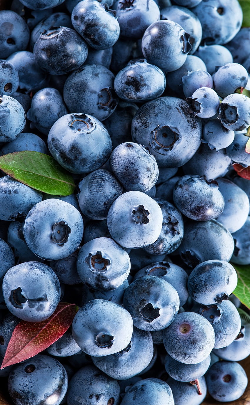 딸기, 과일, 블루베리 HD 전화 배경 화면