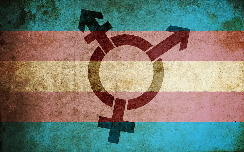 Ftm Sevimli Ftm Trans Bayrağı Hd Duvar Kağıdı Pxfuel