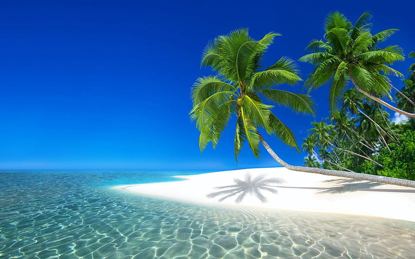 Seychelles Resort, Okyanus, Tatil, Plaj, Ada for MacBook Pro 17 inç, Plaj 1920 X 1200 HD duvar kağıdı