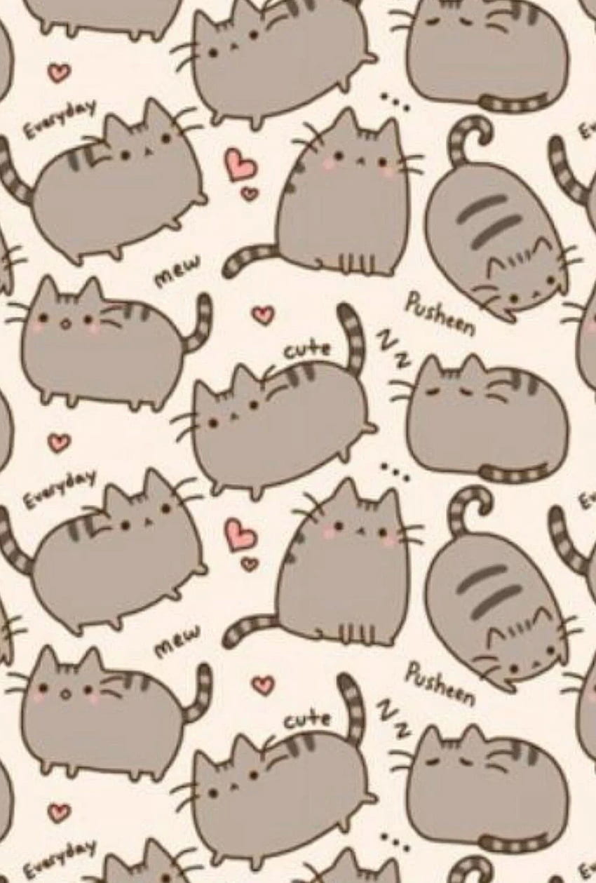 Gabby on Cats, Kawaii Cat HD phone wallpaper